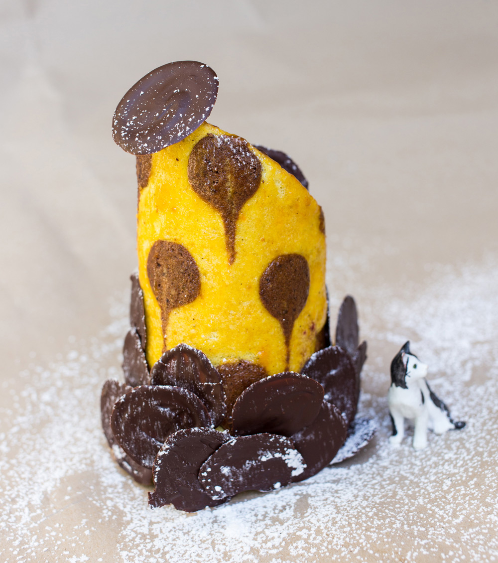 raffinierte kuerbiskern biskuitrolle 2