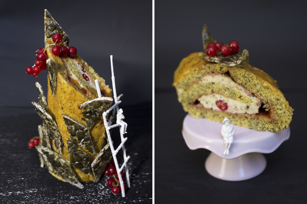 raffinierte kuerbiskern biskuitrolle