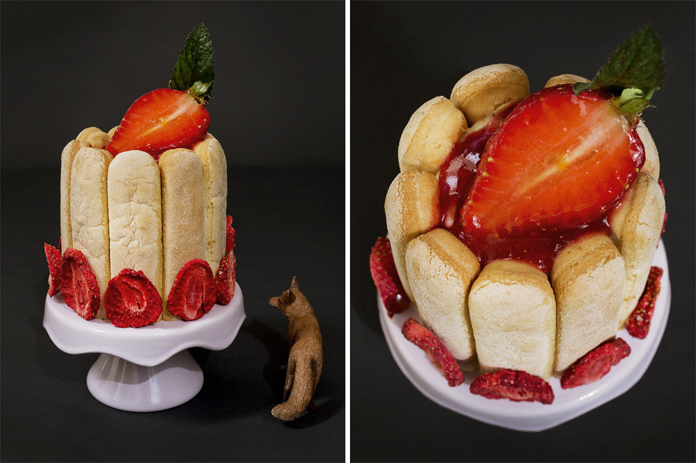 white chocolate erdbeer tiramisu